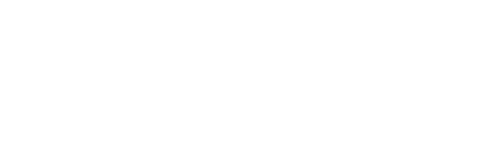 Orca
